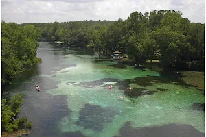 Rainbow River Canoe & Kayak image