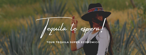 Agencia de Viajes & Tour operadora Jalisco Adventours