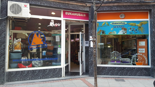 CENTRO VETERINARIO Mascotas de Sestao - Sestao