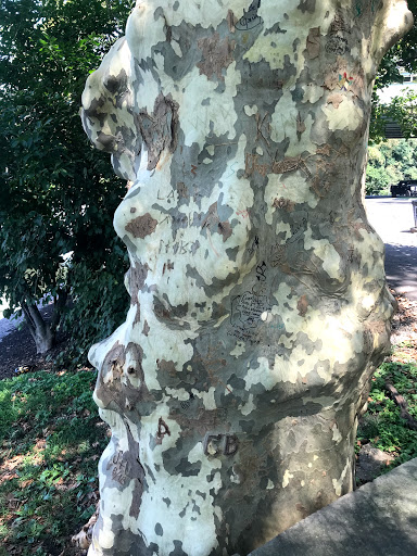 Park «Fairmount Park East», reviews and photos, Sedgley Dr, Philadelphia, PA 19136, USA