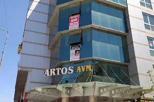 Artos Avm VAN image