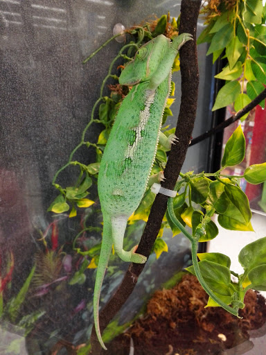 Pet Supply Store «Petco Animal Supplies», reviews and photos, 1624 Governors Square Blvd, Tallahassee, FL 32301, USA