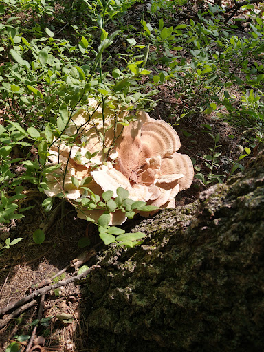 Golf Club «Crystal Lake Golf Club», reviews and photos, 940 N Broadway, Haverhill, MA 01832, USA