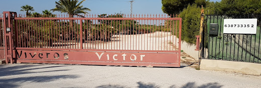 Viveros Y Plantas Victor SLU - Av. dAlgoda, 52, 03296 lAlgoda, Alicante
