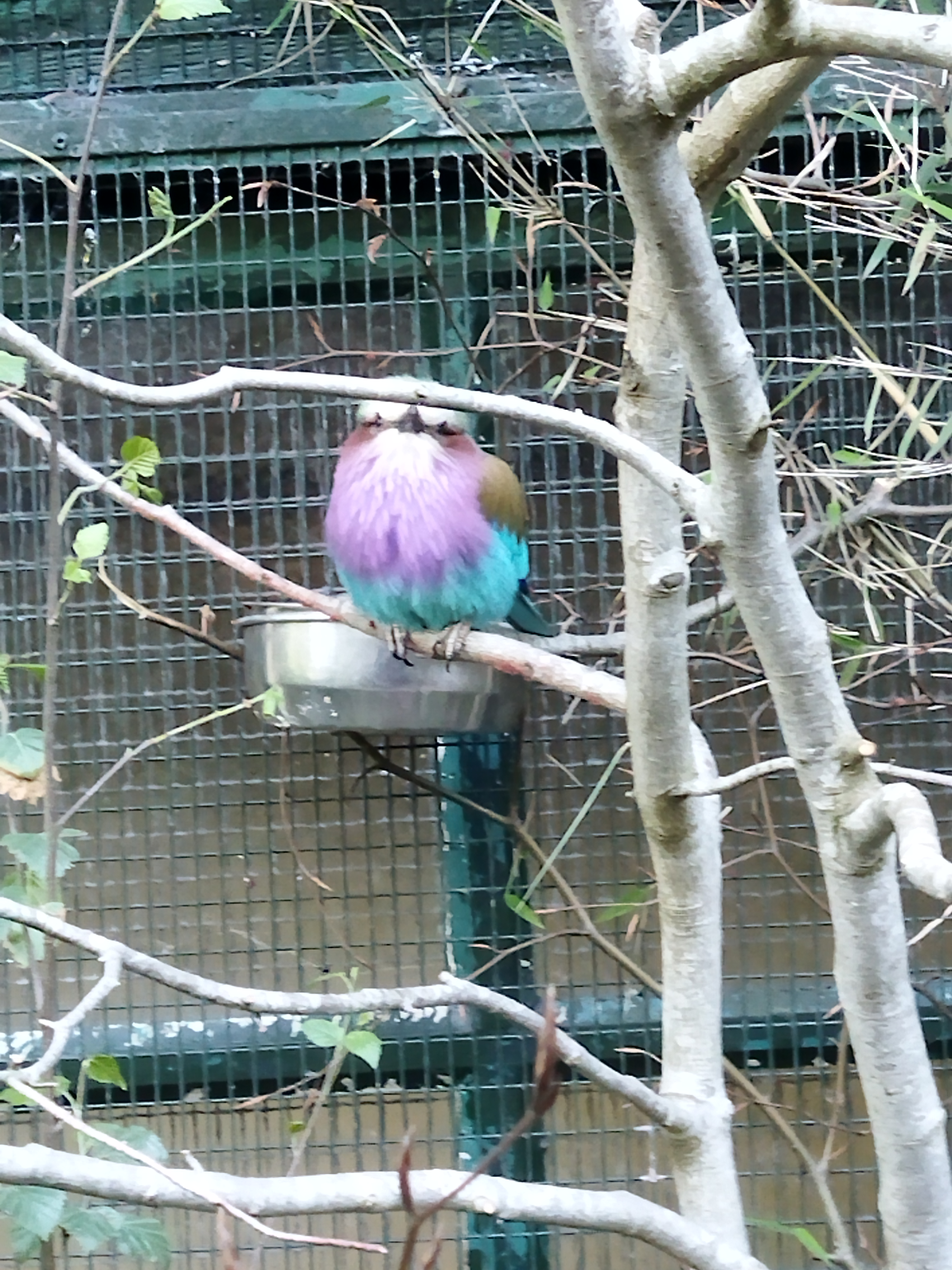 Photo n° 1 de l'avis de Laurent. fait le 27/05/2022 à 16:38