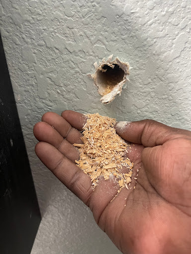 Plumber «Baker Brothers Plumbing», reviews and photos, 2615 Big Town Blvd, Mesquite, TX 75150, USA