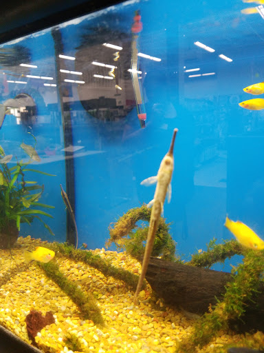 Pet Supply Store «Petco Animal Supplies», reviews and photos, 92 Cluff Crossing Rd, Salem, NH 03079, USA