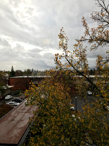 College «Sacramento City College», reviews and photos