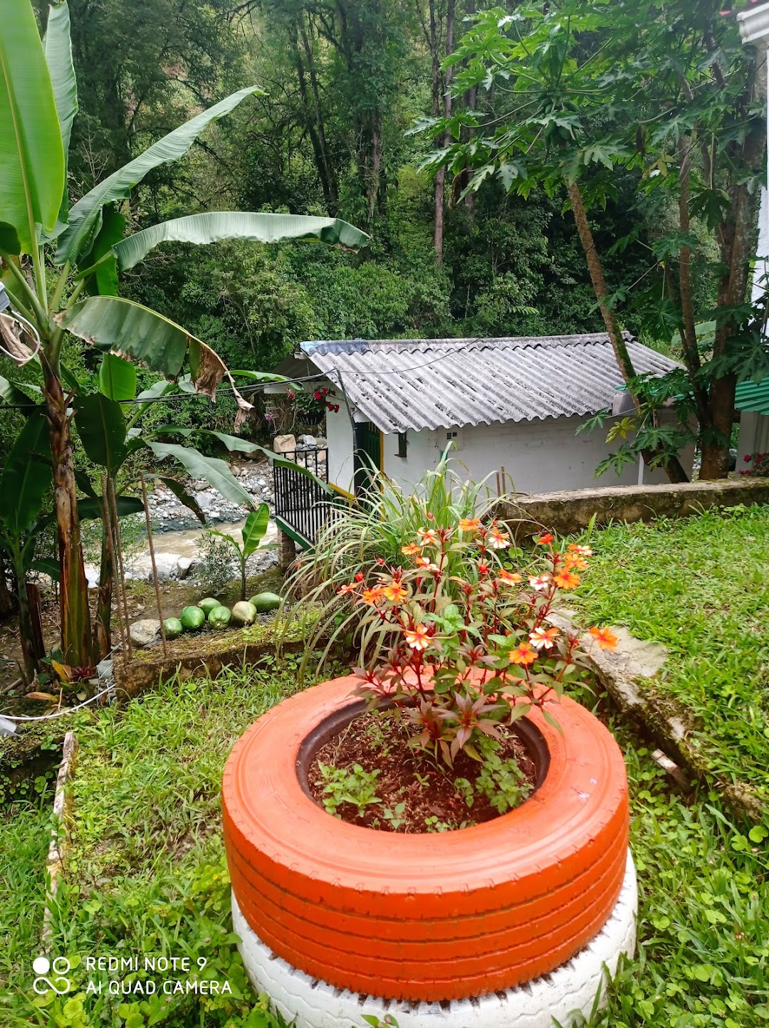 FINCA LA CALEÑITA JANEIRO BUGA