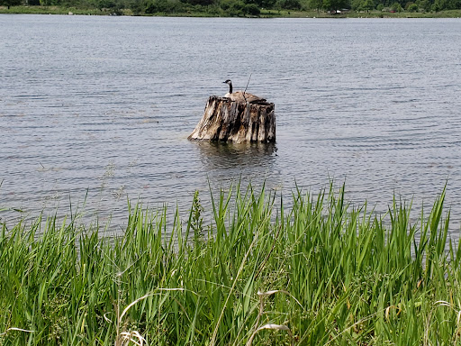 Nature Preserve «Independence Grove Forest Preserve», reviews and photos, 16400 Buckley Rd, Libertyville, IL 60048, USA