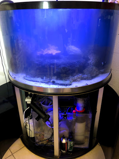 Tropical Fish Store «Hooked On Reefs», reviews and photos, 228 Hibiscus St #1, Jupiter, FL 33458, USA