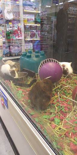 Pet Supply Store «PetSmart», reviews and photos, 1417 W Interstate 240 Service Rd, Oklahoma City, OK 73159, USA