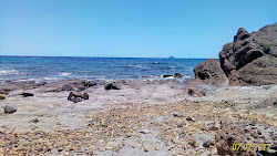 Capo Sperone Beach'in fotoğrafı vahşi alan
