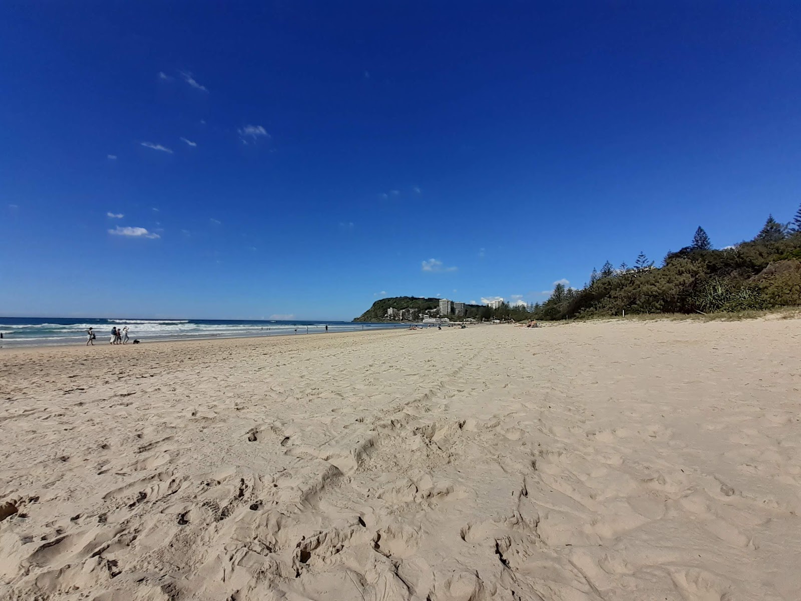 Foto de Pacific Beach área selvagem