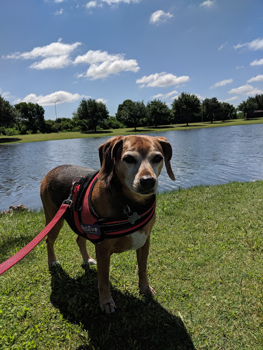 City Park «Celebration Park», reviews and photos, 701 Angel Pkwy, Allen, TX 75002, USA