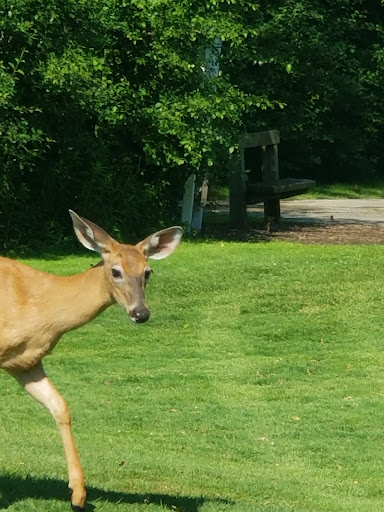 Golf Course «Washington Learning Center Golf Course», reviews and photos, 3841 Washington Park Blvd, Cleveland, OH 44105, USA