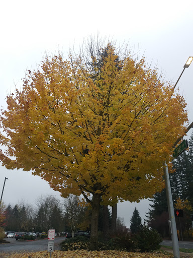 Community Center «Firstenburg Community Center», reviews and photos, 700 NE 136th Ave, Vancouver, WA 98684, USA