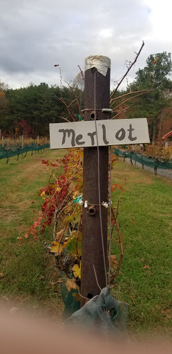 Winery «Sharp Mountain Vineyards», reviews and photos, 110 Rathgeb Trail, Jasper, GA 30143, USA