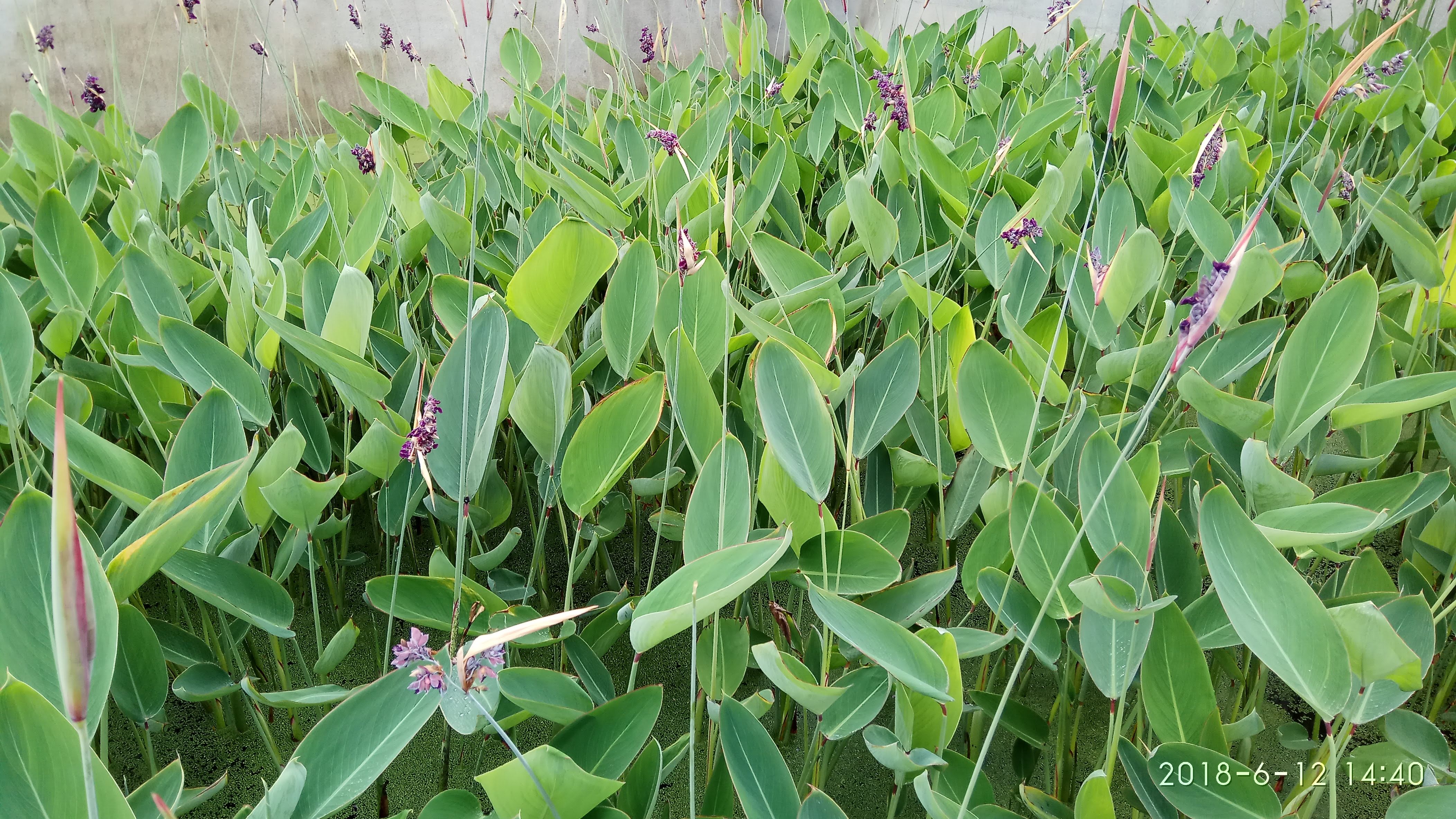 Photo n° 2 de l'avis de Swiss.e fait le 15/06/2018 à 19:24