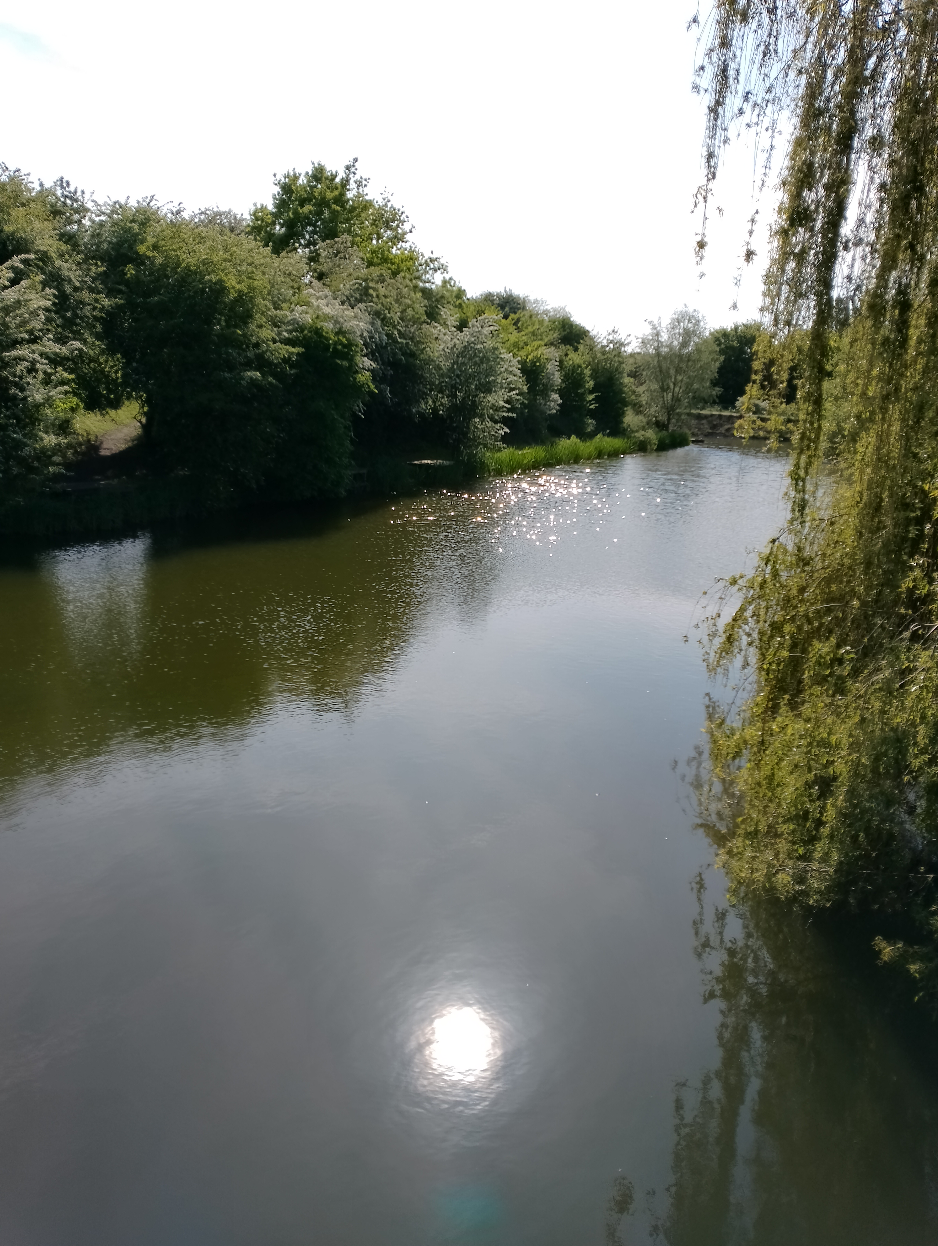 Photo n° 10 de l'avis de Corinne.o fait le 17/05/2023 à 16:10