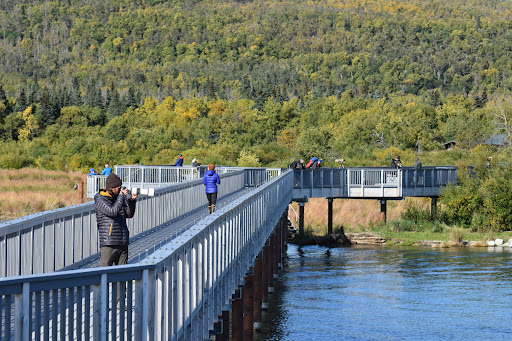 National Park «Katmai National Park and Preserve», reviews and photos