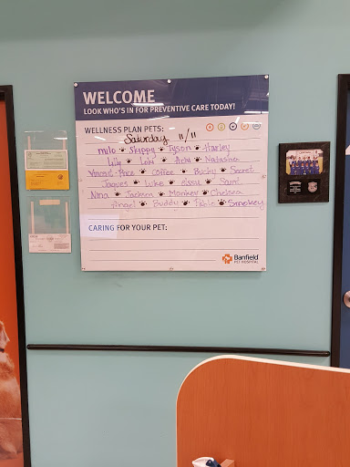 Pet Supply Store «PetSmart», reviews and photos, 2477 Naglee Rd, Tracy, CA 95304, USA