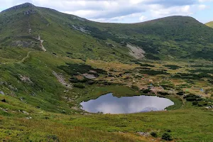 Carpathian Biosphere Reserve Chornohirskyi Reserve Massif image