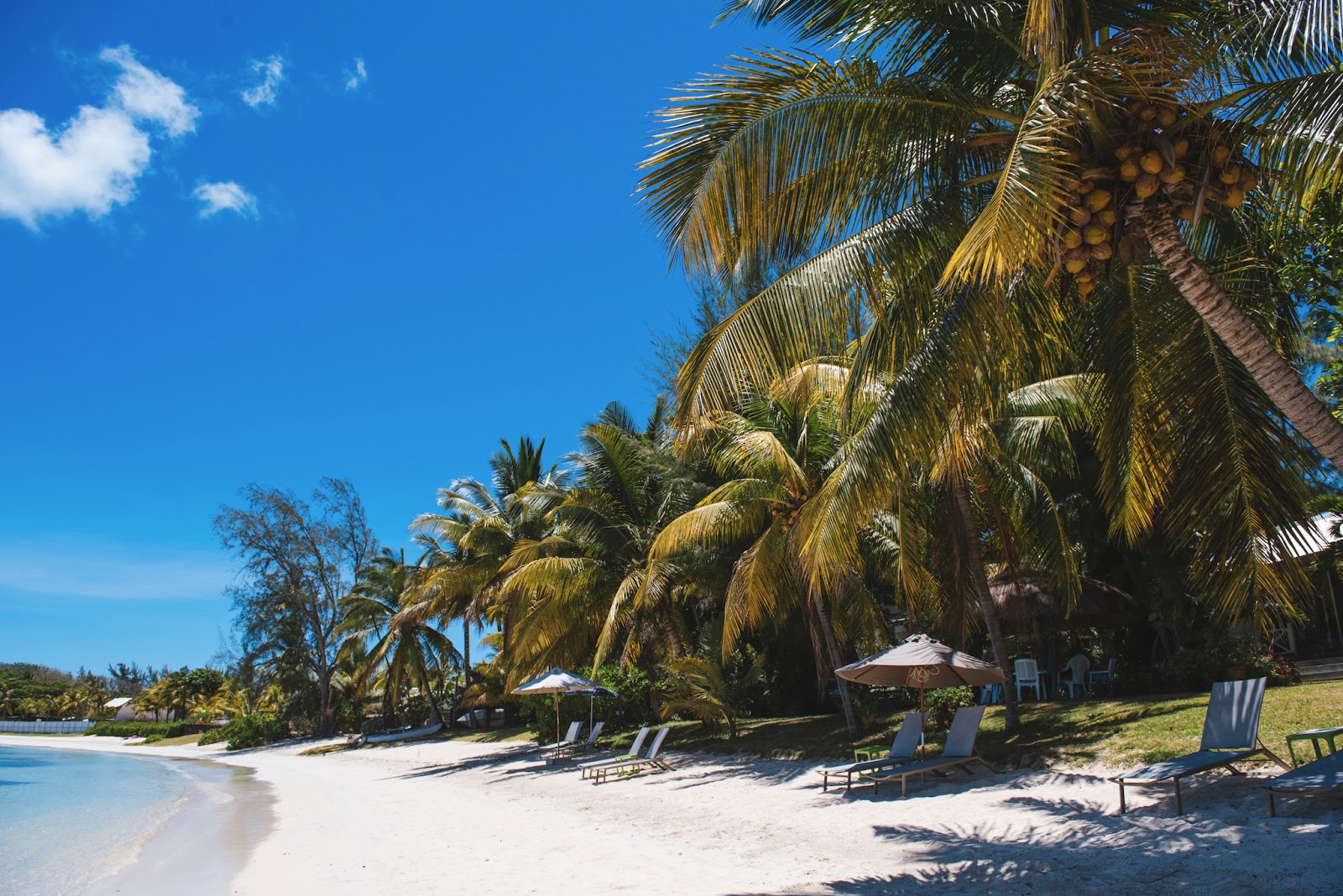 CocoNuts Resot Beach'in fotoğrafı kısmen otel alanı