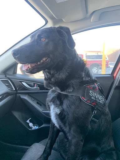 Pet Supply Store «Petco Animal Supplies», reviews and photos, 1090 Fort Union Blvd, Midvale, UT 84047, USA