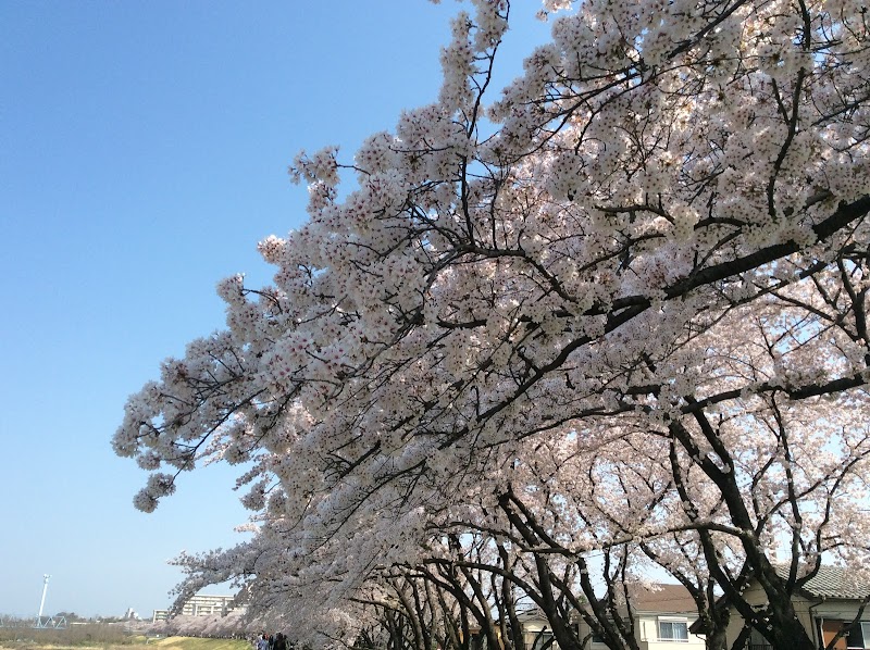 拝島自然公園