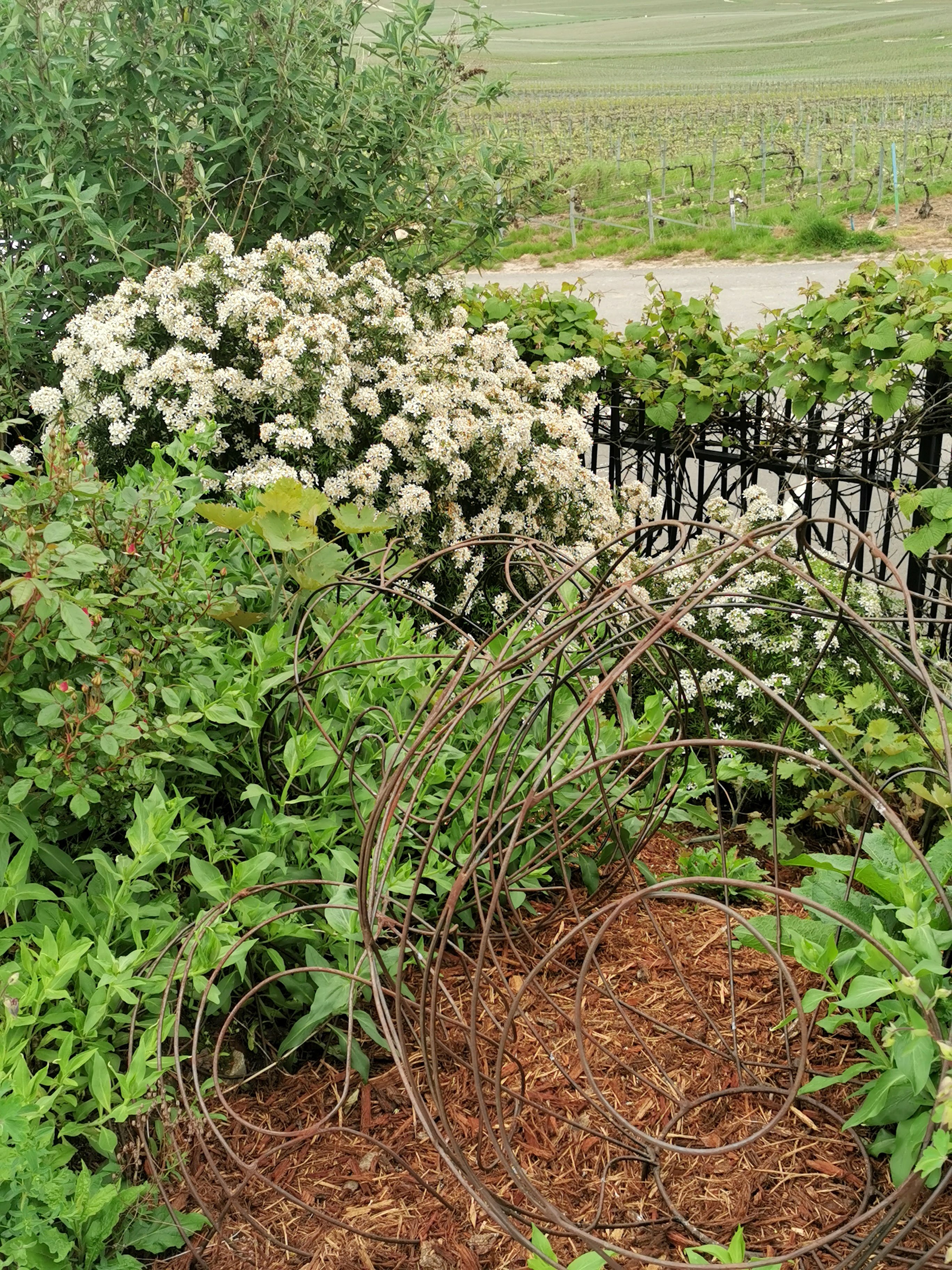 Photo n° 6 de l'avis de Solange.o fait le 07/05/2023 à 07:24