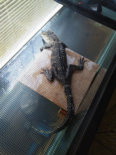 Pet Supply Store «Pet Supplies Plus», reviews and photos, 2202 S Bend Ave Suite 1, South Bend, IN 46635, USA