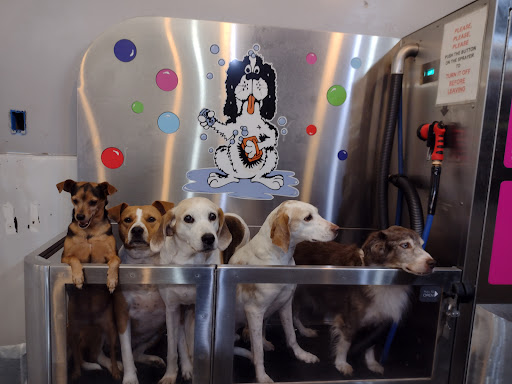 Pet Groomer «Belly scRubs Self Service Pet Wash», reviews and photos, 119 WV-34 #1, Hurricane, WV 25526, USA