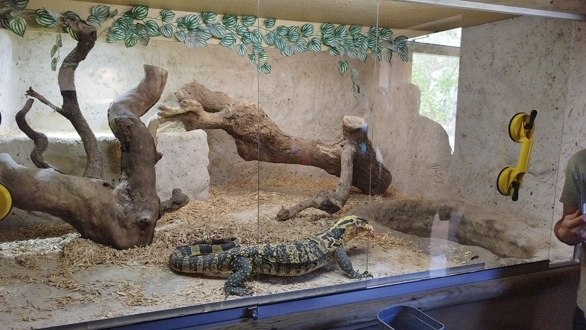 Photo n° 2 de l'avis de Jenny.a fait le 29/04/2018 à 06:22