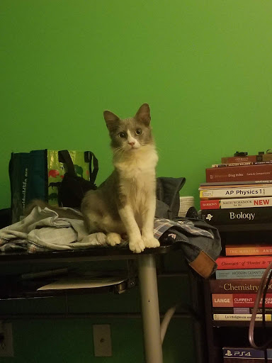 Pet Supply Store «Petco Animal Supplies», reviews and photos, 4665 Garth Rd #400, Baytown, TX 77521, USA