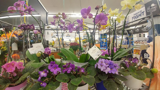 Grocery Store «Albertsons», reviews and photos, 1300 W Belt Line Rd, DeSoto, TX 75115, USA