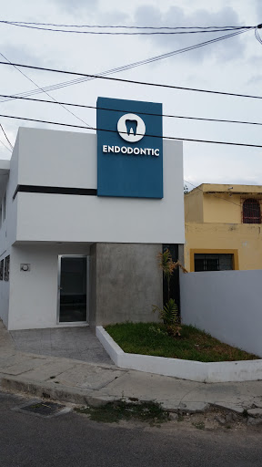 Endodontic Dr Victor Burgos Quijano