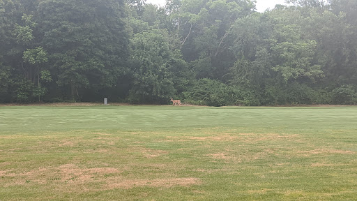 Golf Course «Potowomut Golf Club Inc», reviews and photos, 439 Ives Rd, East Greenwich, RI 02818, USA
