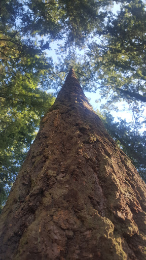 Recreation Center «Shute Park Aquatic & Recreation Center», reviews and photos, 953 SE Maple St, Hillsboro, OR 97123, USA