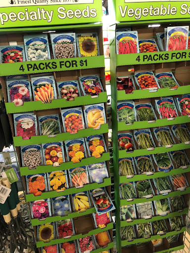 Dollar Store «Dollar Tree», reviews and photos, 7041 Brookfield Plaza, Springfield, VA 22150, USA