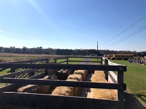 Produce Market «Solly Brothers», reviews and photos, 707 Almshouse Rd, Warminster, PA 18974, USA