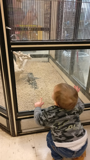 Pet Supply Store «PetSmart», reviews and photos, 3601 Rib Mountain Dr, Wausau, WI 54401, USA