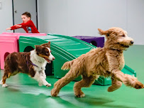 My Best Friend Obedience aka Channel Island Dog Training - Photo 9 - Car repair in Port Hueneme, CA, Oxnard