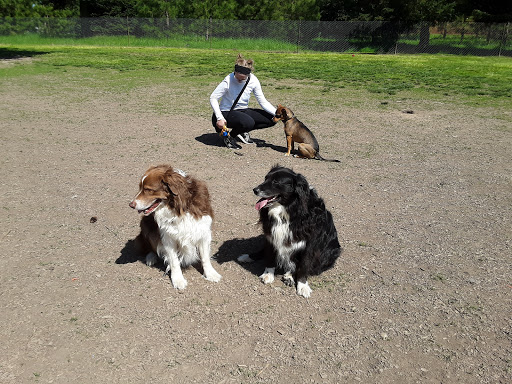 Dog Park «Hazeldale Park/ Dog park», reviews and photos, SW Farmington Rd, Aloha, OR 97007, USA