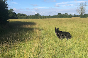 Burbage Secure Dog Walking Field image