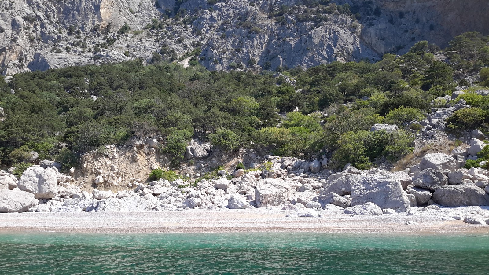 Photo de Lost World beach situé dans une zone naturelle