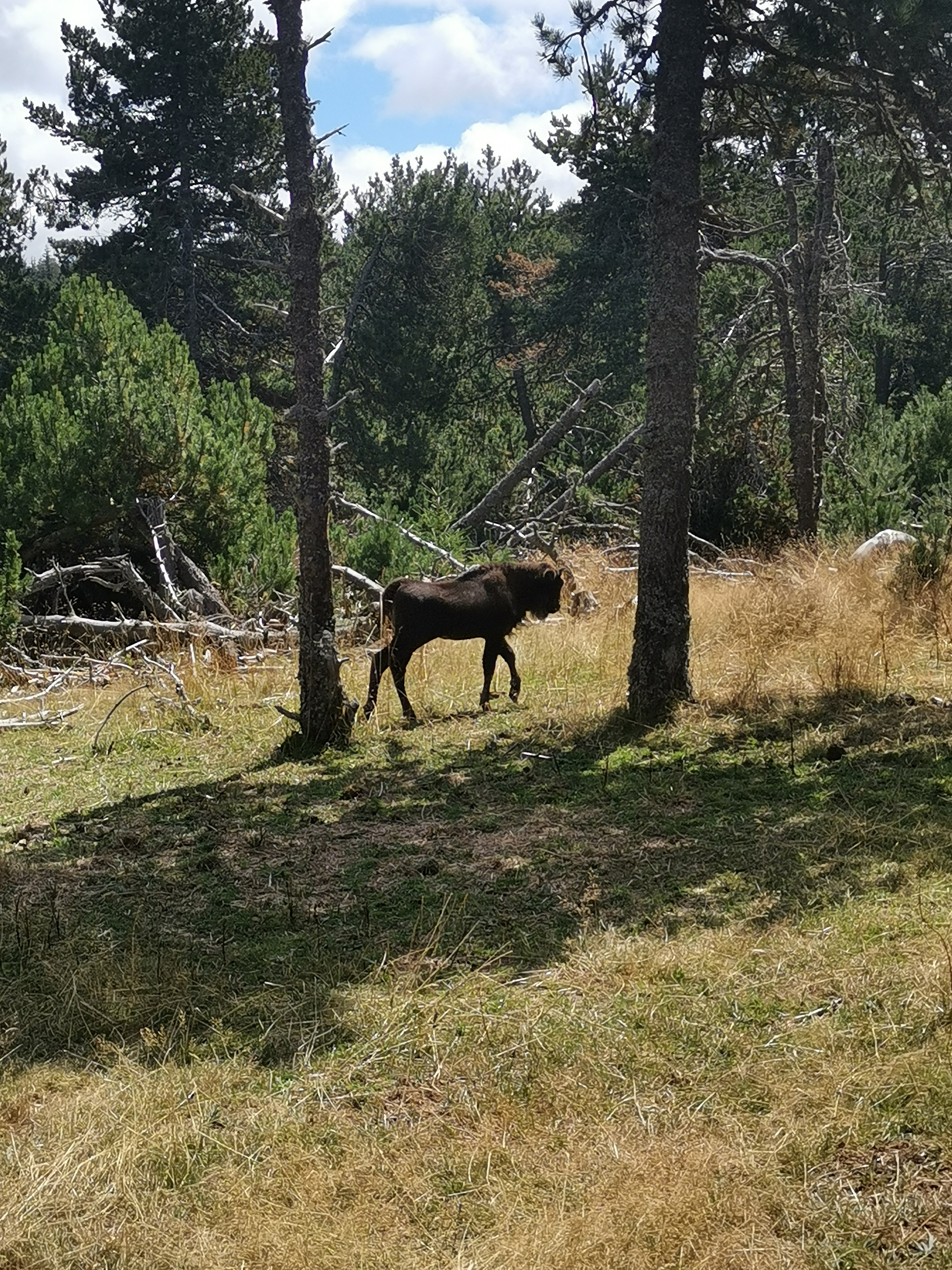 Photo n° 1 de l'avis de Hugo. fait le 25/08/2020 à 07:35