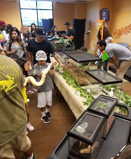 Reptile Store «Paramount Pet Entertainment - Reptile Parties & more!», reviews and photos, 8055 Rosecrans Ave #107, Paramount, CA 90723, USA
