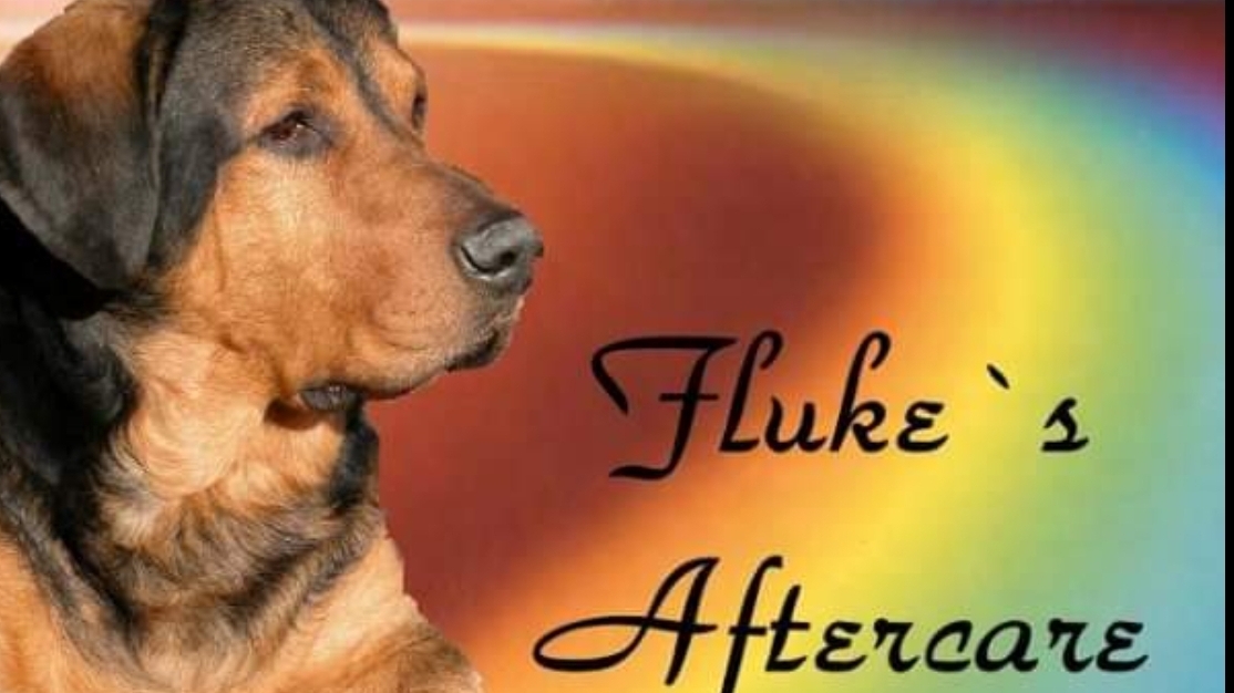 Fluke's Aftercare Pet Cremation