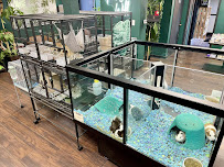 The Wild Things Pet Shop - Photo 5 - Car repair in Ankeny, IA, Des Moines